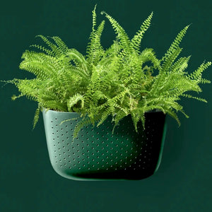 WallyGro Eco Planter (multiple colours available)