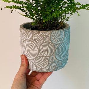 NOVA concrete decorative pot (4.75X4”)