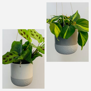 GABBY decorative hanging planter (5”X5”)