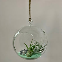 Load image into Gallery viewer, Sphere Glass Terrarium (available in two sizes)
