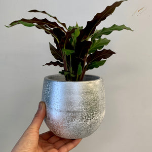 FROST Cover Pot (4”X4”)
