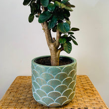 Load image into Gallery viewer, MARINA decorative pot
