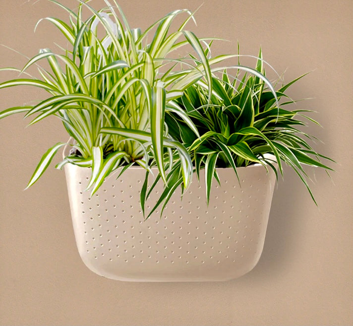 WallyGrow Eco Planter (multiple colours available)