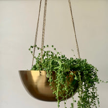 Load image into Gallery viewer, CAMILLE shallow decorative planter GOLD
