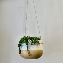 Load image into Gallery viewer, MILO Hanging Asymmetric Planter with sandstone base (two sizes)
