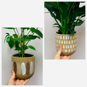 AUDREY Paintbrush Ceramic cover pot (4”x4”) Available in two designs