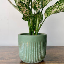 Load image into Gallery viewer, MISTY Decorative Pot (5”X5)
