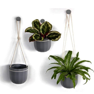 Wally Loop Planter (multiple colours available) GREY