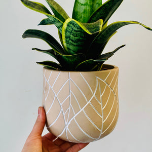 TULIP decorative pot embossed leaf design