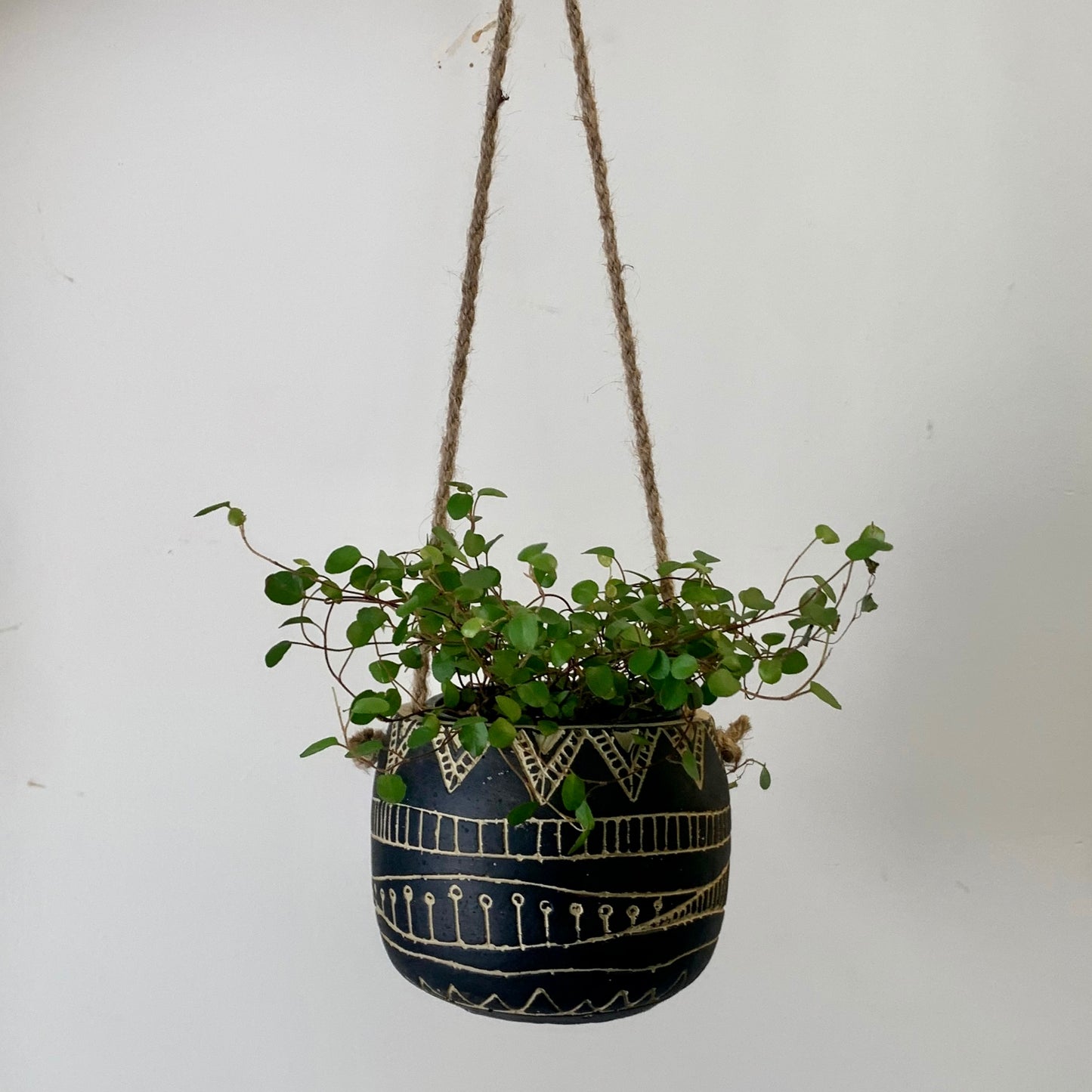 MAISIE Hanging Concrete Planter (2.75”x2.75”)
