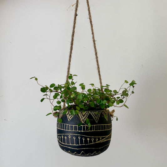 MAISIE Hanging Concrete Planter (2.75”x2.75”)