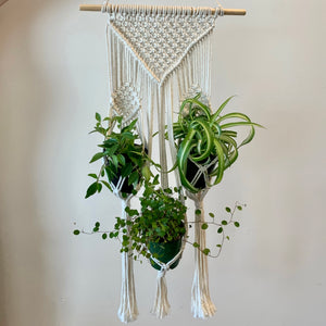 Triple Macrame Hanger (available in 2 designs)