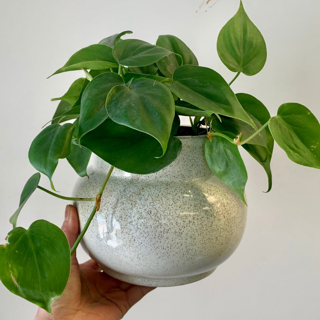 MILA Modern Bulbous Decorative Pot (4