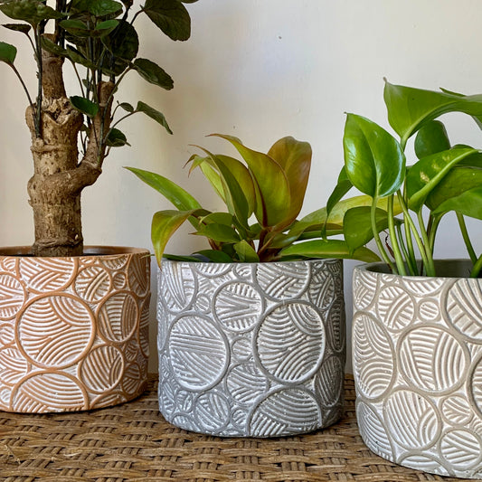 NOVA concrete decorative pot (4.75X4”)